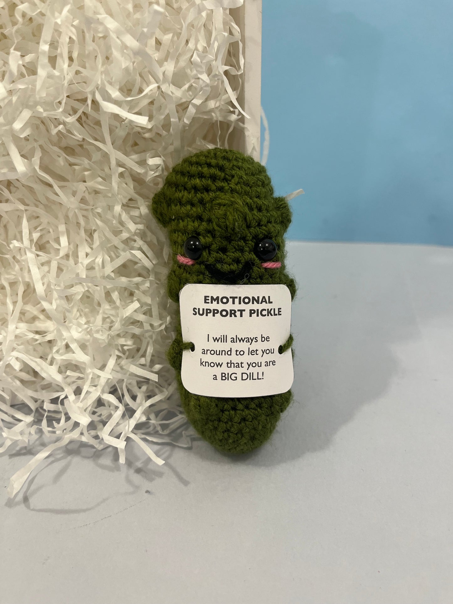 Crochet Emotional Support Pickle Plushie