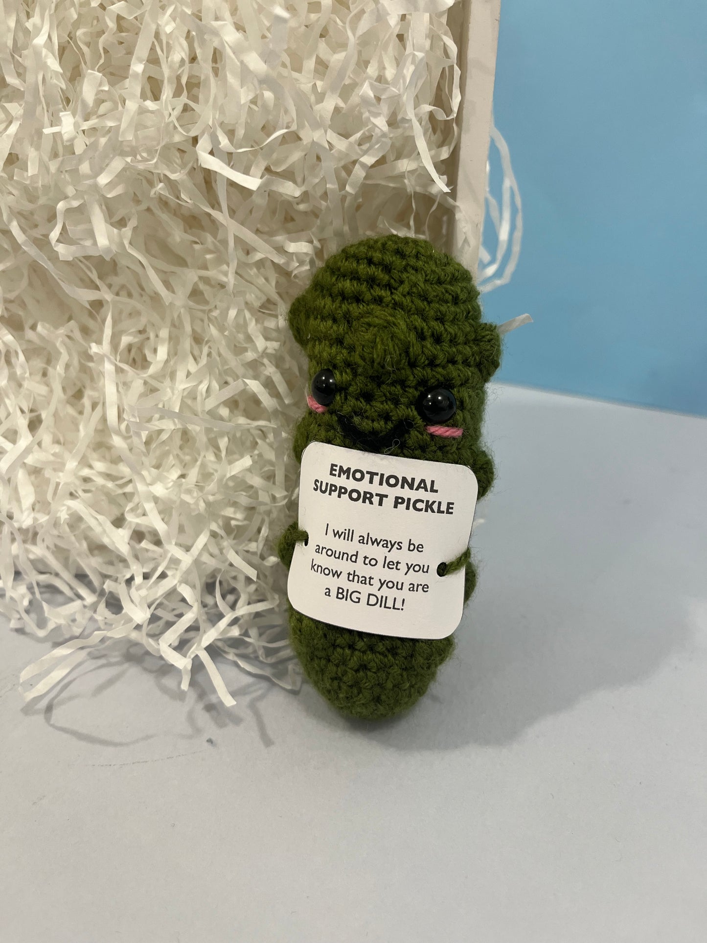 Crochet Emotional Support Pickle Plushie