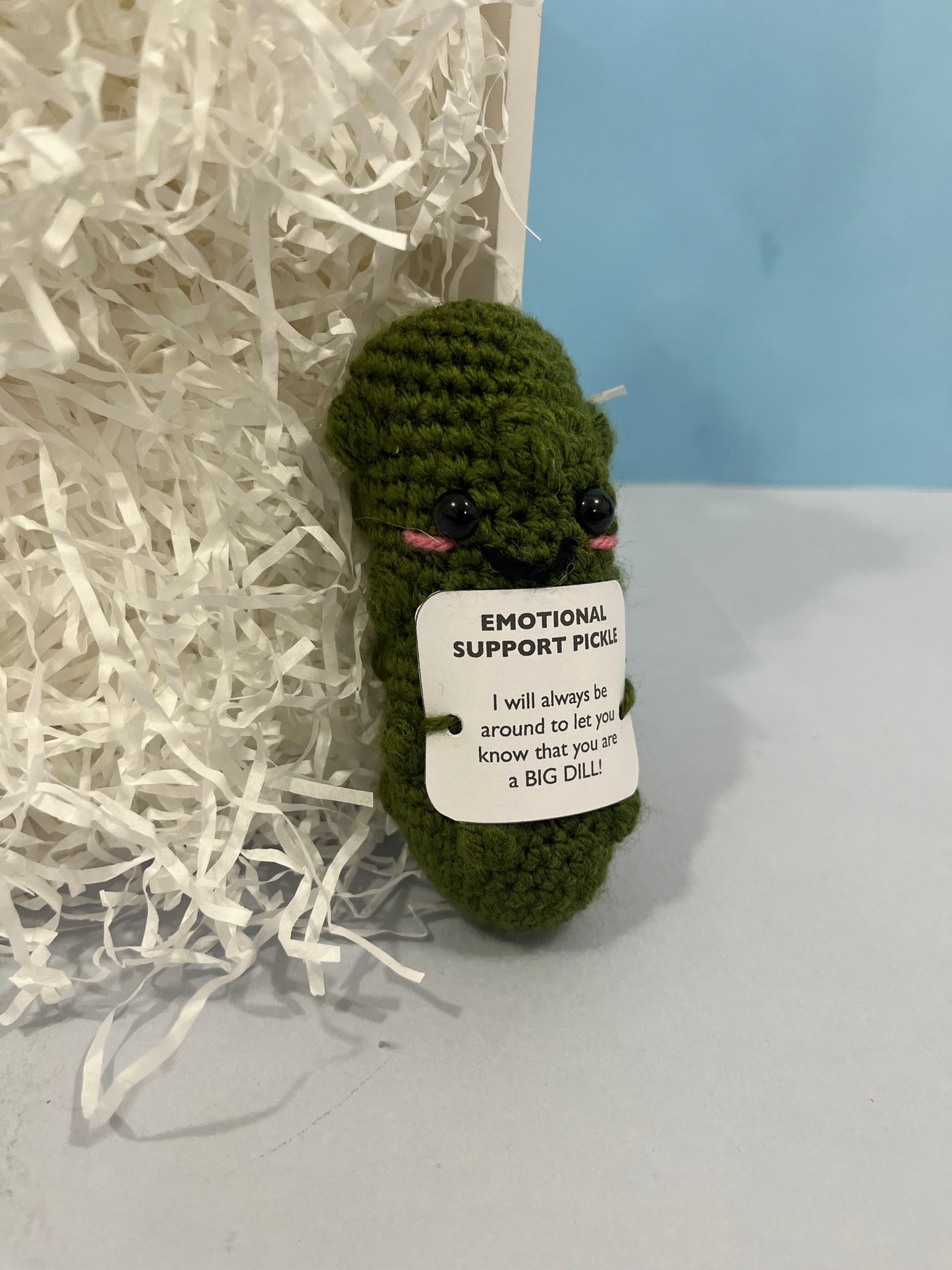 Crochet Emotional Support Pickle Plushie