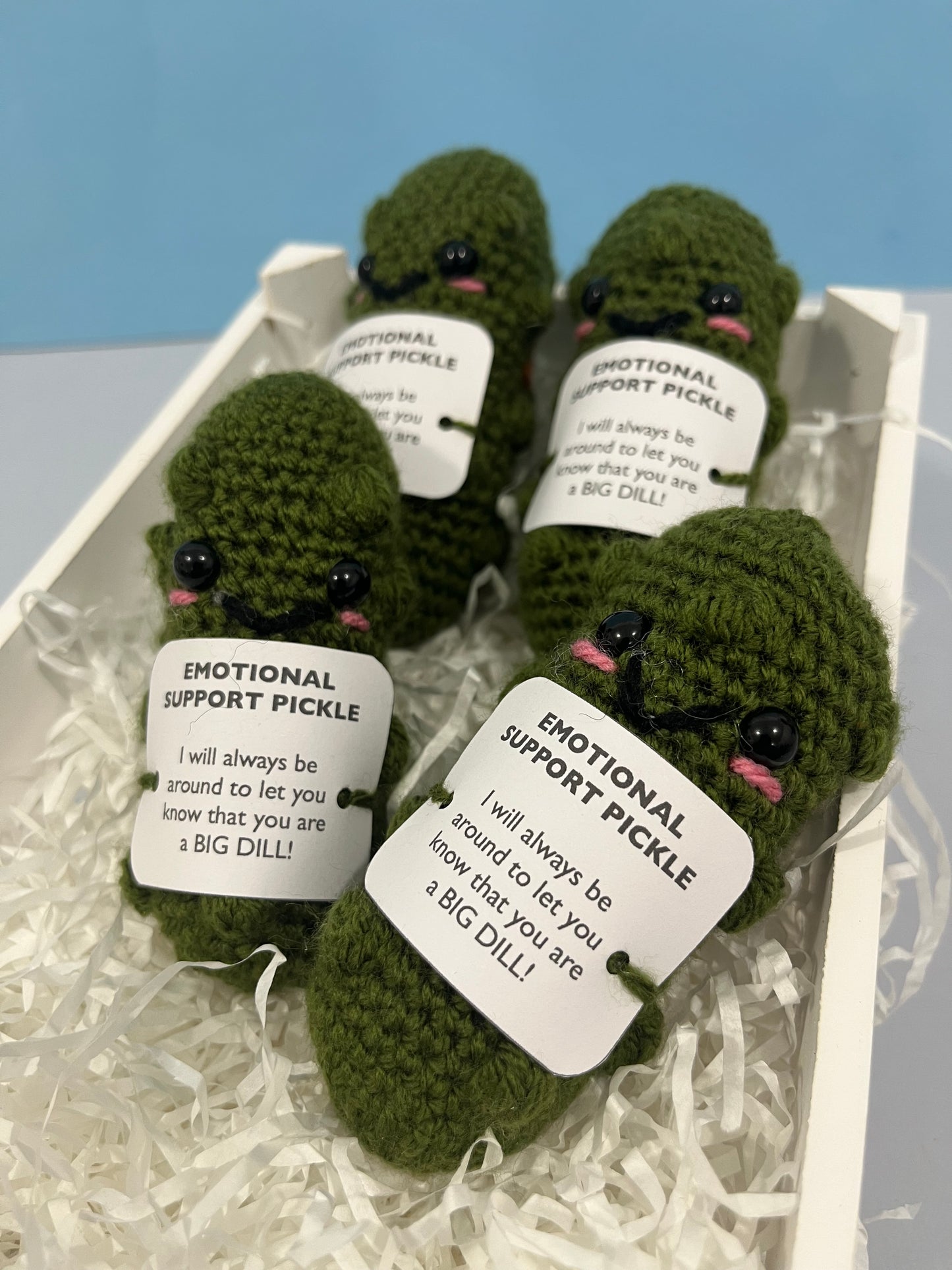 Crochet Emotional Support Pickle Plushie