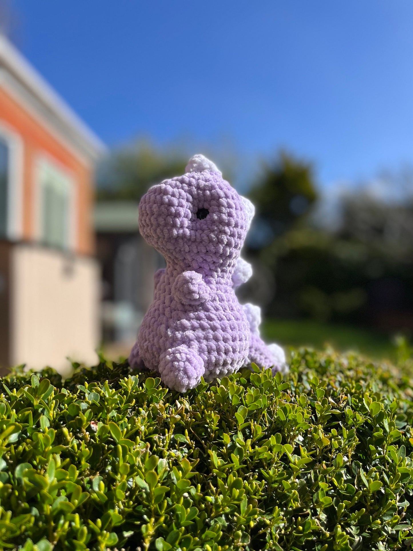 PRE ORDER Crochet Baby Dino